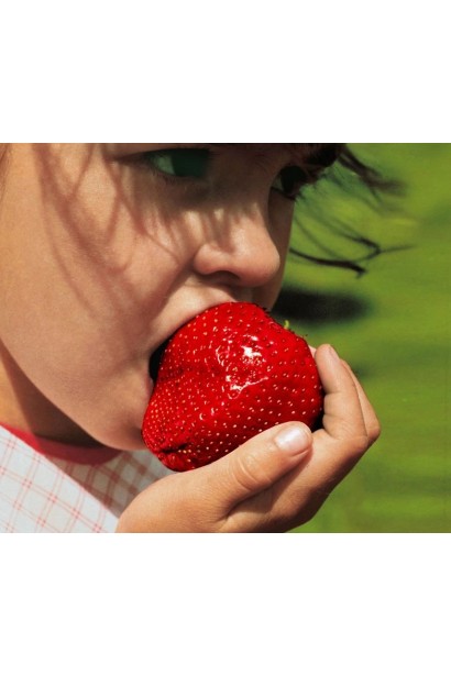 Полуниця великоплідна Гігантела Максі